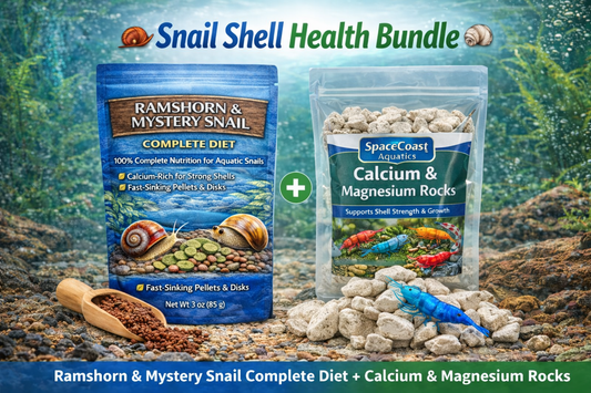 🐌🐚 Snail Shell Health Bundle