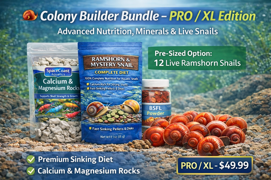 🐌 Colony Builder Bundle XL – 12 Snails