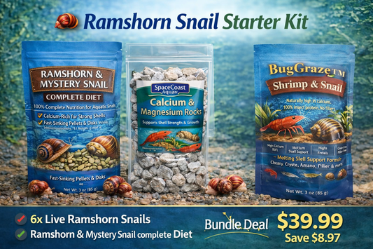 🐌 Ramshorn Snail Starter Kit